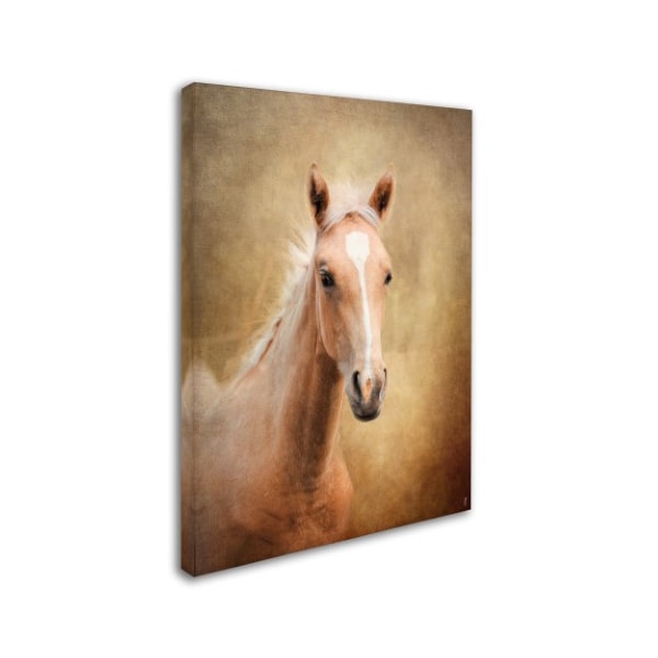 Jai Johnson 'Golden Girl Palomino Horse' Canvas Art,24x32